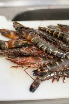 Fresh tiger prawns waiting on a plate in a kitchen to be cooked in a delicious gourmet seafood meal