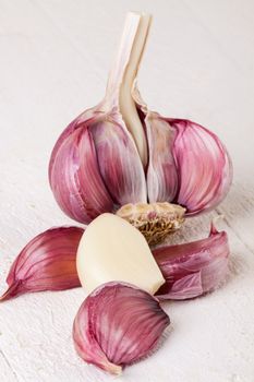 Fresh uncooked garlic bulb with loose cloves with one clove cut through lengthwise to show the texture, on a white background