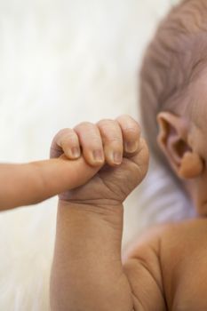 Tender love of a newborn infant with a closeup view of the hand of a tiny neonate clutching the finger of its parent in a show of trust, dependency and love