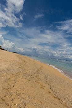 Beautiful tropical beach with lush vegetation fringing golden sand and a tranquil ocean with gentle surf breaking on the beach