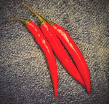 red hot chili pepper on jeans background. instagram image style