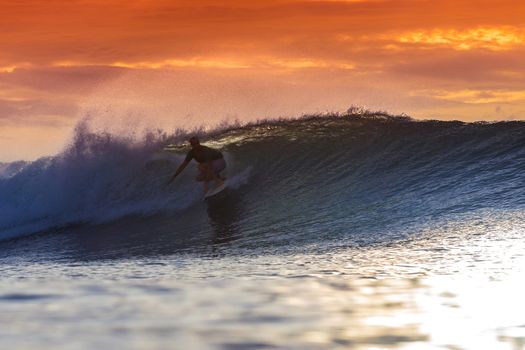 Surfer on Amazing Wave at sunset time, Bali island.