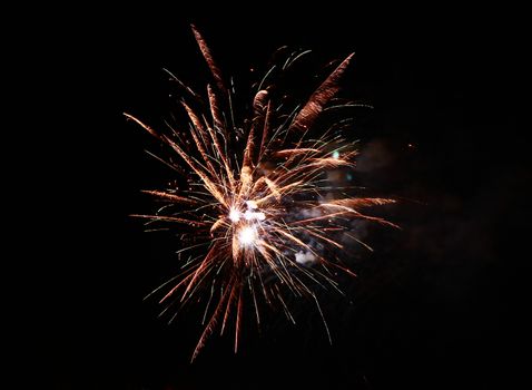 Celebration firework in the black night sky