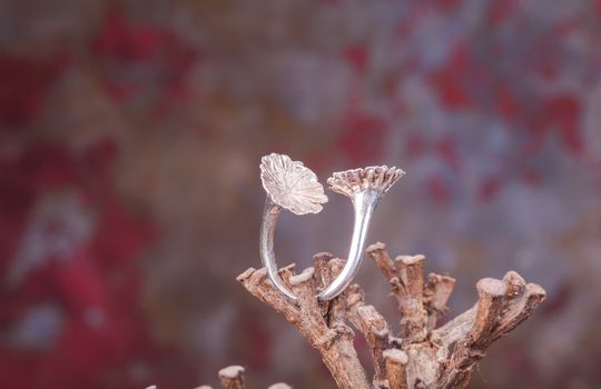 Close up of silver ring, manufactured by Ornella Salamone