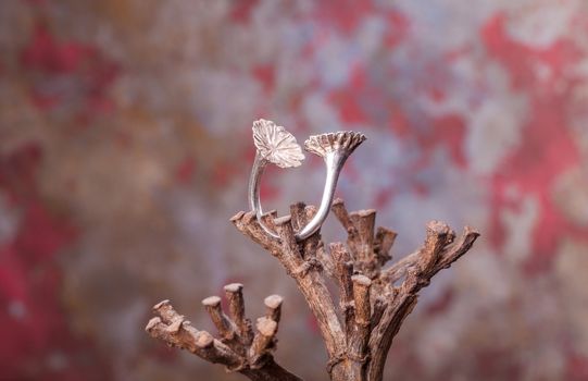 Close up of silver ring, manufactured by Ornella Salamone