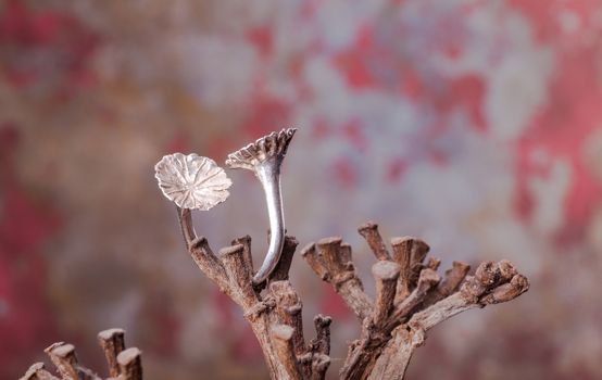 Close up of silver ring, manufactured by Ornella Salamone