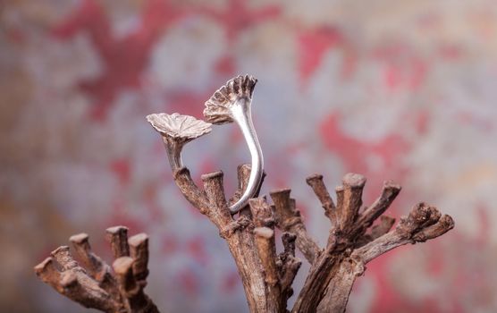 Close up of silver ring, manufactured by Ornella Salamone