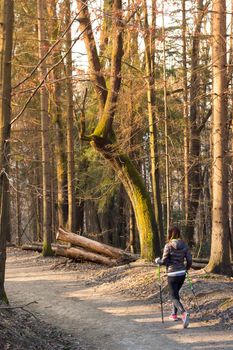 Young fit woman hiking in nature. Adventure, sport and exercise. 