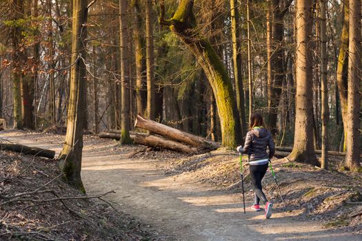 Young fit woman hiking in nature. Adventure, sport and exercise. 