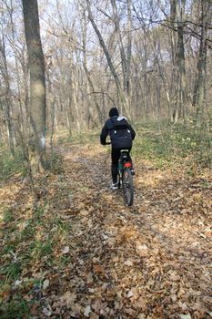 bicyclist riding along the forest path fall