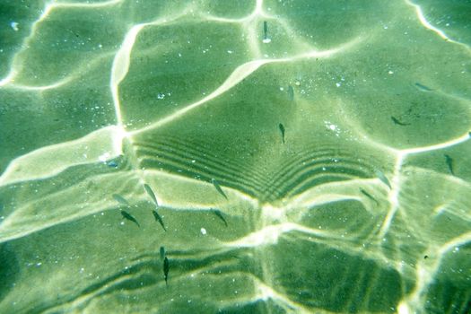 Unterwater Scene in the Aegaean