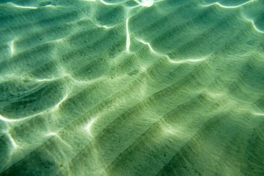 Unterwater Scene in the Aegaean