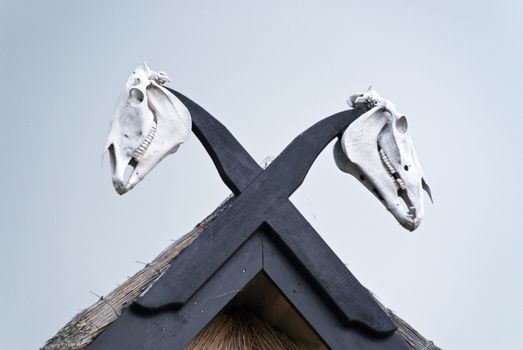 Rooftop with Horse Skulls