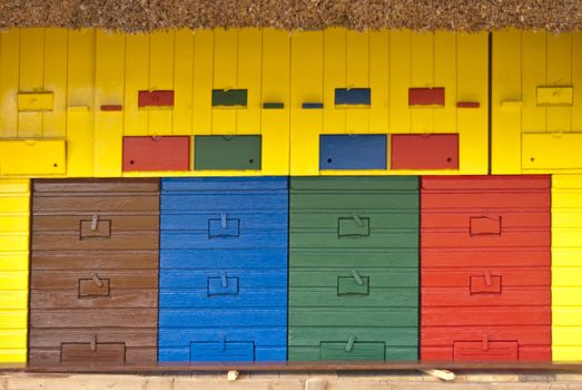 Colorful Beeyard