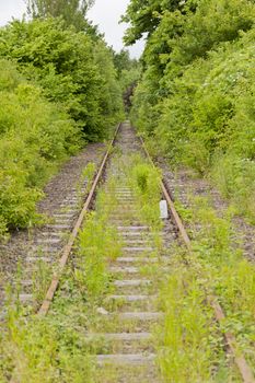 Old Railroad Track