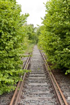 Old Railroad Track
