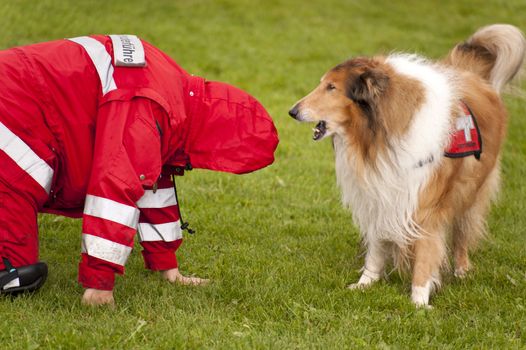 Training of a Rescue Dog Squadron