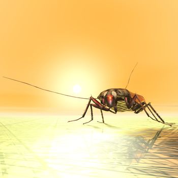 Digital Illustration of a Cockroach