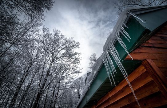 A walk into the maple syrup, sugar shack woods just as the season gets started.