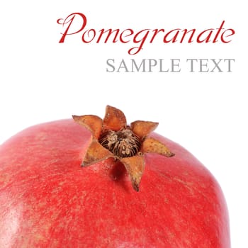 The fresh pomegranate as a background closeup