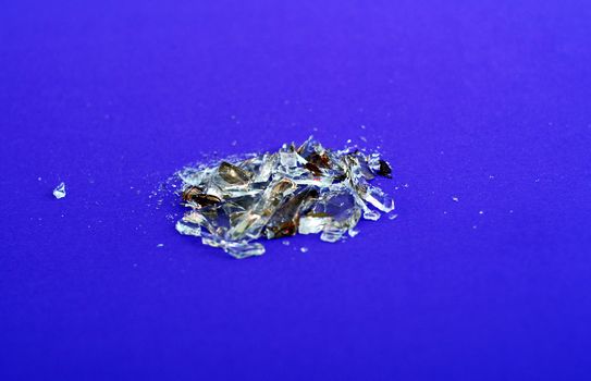 Picture of a Broken perfume bottle pieces