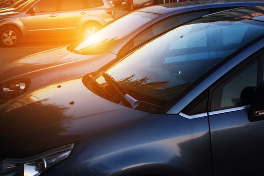 cars in street  at sunset