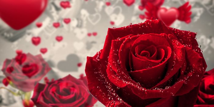 Rose against love heart pattern
