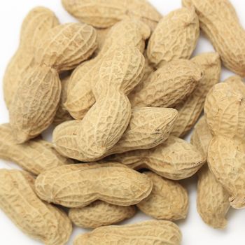 Dried peanut isolated on white background