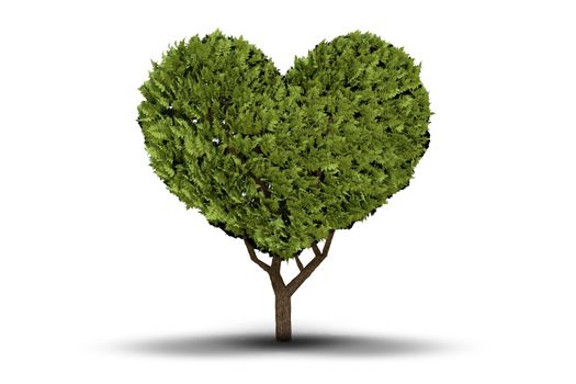 Love heart tree on white background