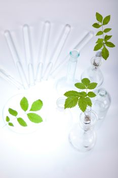 Laboratory glassware equipment, Experimental plant