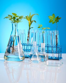 Chemistry equipment, plants laboratory experimental