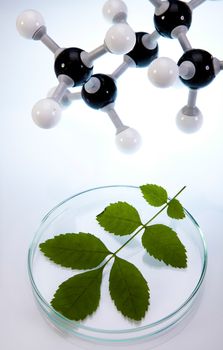 Chemistry equipment, plants laboratory experimental