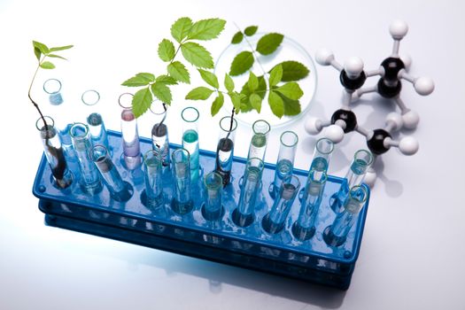 Laboratory glassware, bio organic modern concept