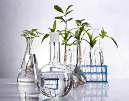 Laboratory glassware equipment, Experimental plant