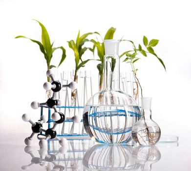 Chemistry equipment, plants laboratory experimental