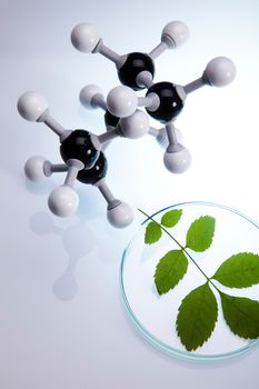 Laboratory glassware, genetically modified plant