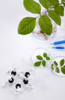 Chemistry equipment, plants laboratory experimental