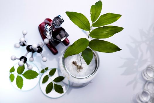 Laboratory glassware, bio organic modern concept