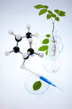 Plant in a test tube in hands of the scientist