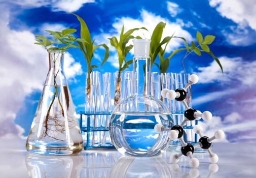Plant in a test tube in hands of the scientist