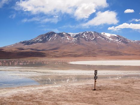 Altiplano landscape with the reflection of a snow-capped volcano in a lake with flamingos with a danger sign on a pole in front of it in the Atacama desert at the border between Bolivia and Chile.