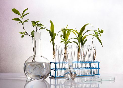 Chemistry equipment, plants laboratory experimental
