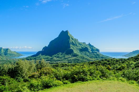 Overview over the green jungle on Rotui mountain with Cook’s Bay and Opunohu Bay on the tropical pacific island of Moorea, near Tahiti in French Polynesia.