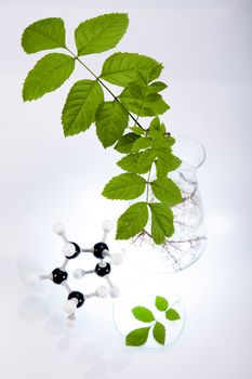 Chemistry equipment, plants laboratory experimental