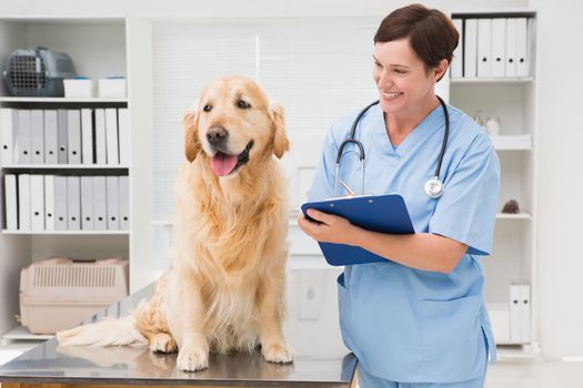 Vet examining a dog and writing on clipboard in medical office