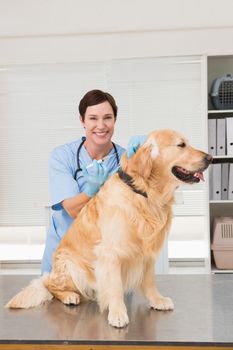 Veterinarian doing injection at a cute dog in medical office