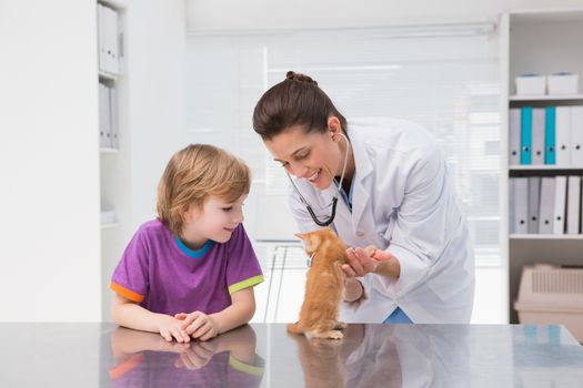 Veterinarian examining a cat with its owner in medical office 