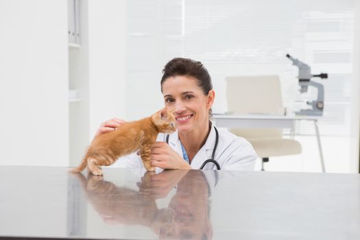 Veterinarian examining a cat in medical office 