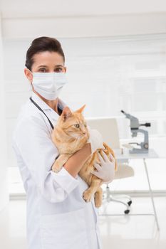 Veterinarian with a cat in her arms in medical center 