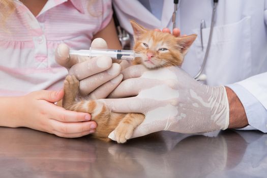 Veterinarian doing injection at a cute cat with it owner in medical office 